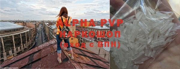 гашик Балахна