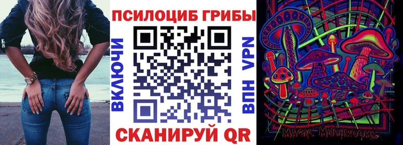 ОМГ ОМГ онион  Озёрск  Галлюциногенные грибы Magic Shrooms  купить наркотик 